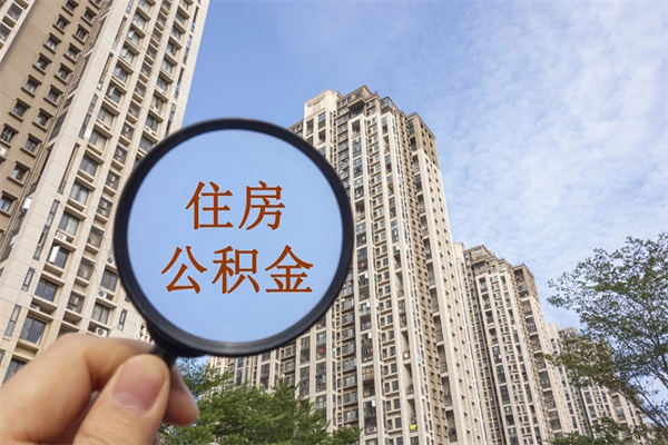 新野公积金能一下取出来吗（住房公积金可以一下提出来吗）