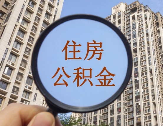 新野上海公积金为何不能随意提取（上海公积金不能贷款的原因）